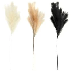 B&M Pampas Stem - Natural -B&M Online Store 372800 395541 394382 pamas stem group