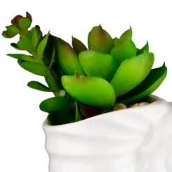 B&M Scandi Shore Small Shell Succulent -B&M Online Store 380110 small shell succulent 2