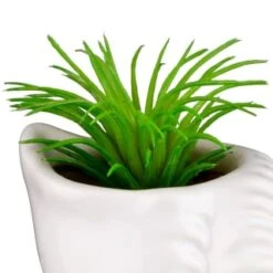 B&M Scandi Shore Small Shell Succulent -B&M Online Store 380110 small shell succulent 5