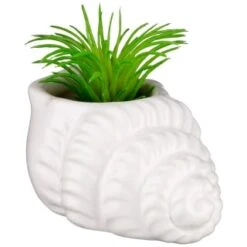 B&M Scandi Shore Small Shell Succulent -B&M Online Store 380110 small shell succulent 6
