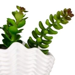 B&M Scandi Shore Small Shell Succulent -B&M Online Store 380110 small shell succulent 8