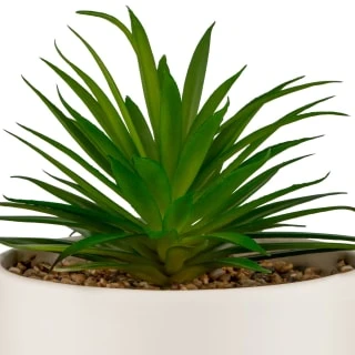 B&M Scandi Shore Succulent In White Pot 2 B&M Scandi Shore Succulent In White Pot - Image 2