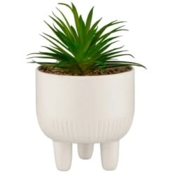 B&M Scandi Shore Succulent In White Pot