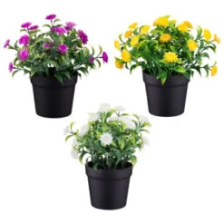 Bloom Daisies In Pot - White -B&M Online Store 392825 daisies in pot group