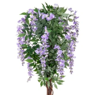 Bloom Wysteria Tree In Pot - Purple 2 Bloom Wysteria Tree In Pot - Purple - Image 2
