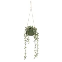 B&M Hanging Foliage In Green Ceramic Pot
