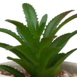 B&M Assorted Embossed Pots 12 B&M Assorted Embossed Pots -B&M Online Store 394664 embossed pot 2