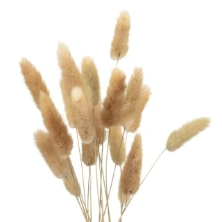 B&M Bunny Tails In Double Handled Vase 2 B&M Bunny Tails In Double Handled Vase - Image 2