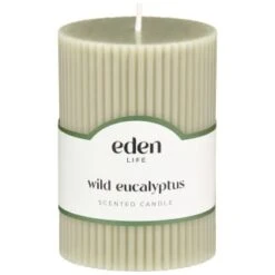 B&M Wild Eucalyptus Scented Candle